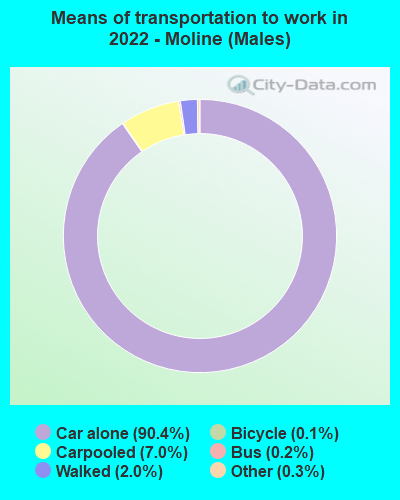 Means of transportation to work in 2022 - Moline (Males)