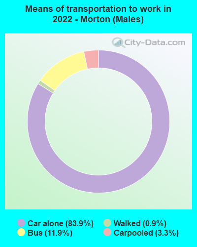 Means of transportation to work in 2022 - Morton (Males)