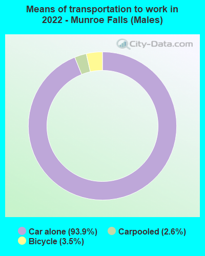 Means of transportation to work in 2022 - Munroe Falls (Males)