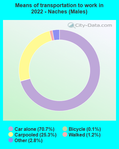Means of transportation to work in 2022 - Naches (Males)