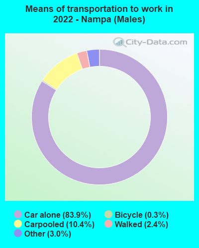 Means of transportation to work in 2022 - Nampa (Males)