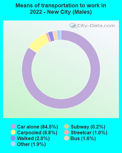 Means of transportation to work in 2022 - New City (Males)
