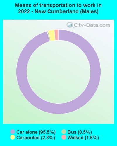 Means of transportation to work in 2022 - New Cumberland (Males)