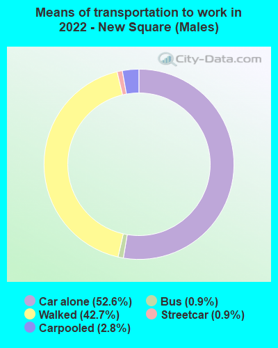 Means of transportation to work in 2022 - New Square (Males)