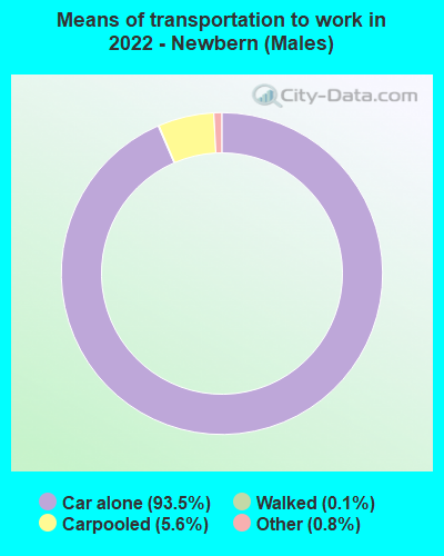 Means of transportation to work in 2022 - Newbern (Males)