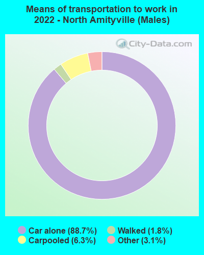 Means of transportation to work in 2022 - North Amityville (Males)