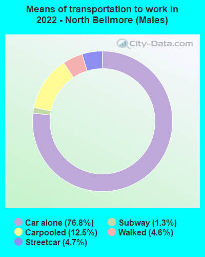 Means of transportation to work in 2022 - North Bellmore (Males)