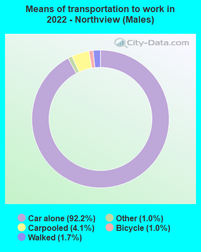 Means of transportation to work in 2022 - Northview (Males)