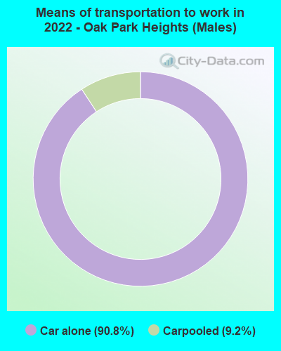 Means of transportation to work in 2022 - Oak Park Heights (Males)