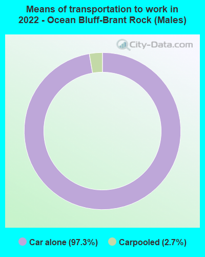 Means of transportation to work in 2022 - Ocean Bluff-Brant Rock (Males)