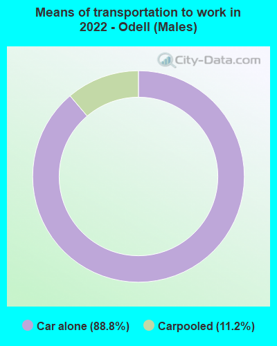 Means of transportation to work in 2022 - Odell (Males)