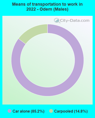 Means of transportation to work in 2022 - Odem (Males)