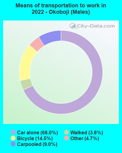 Means of transportation to work in 2022 - Okoboji (Males)