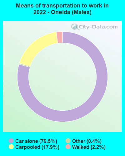 Means of transportation to work in 2022 - Oneida (Males)