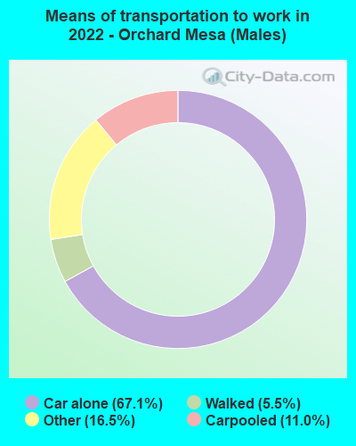 Means of transportation to work in 2022 - Orchard Mesa (Males)