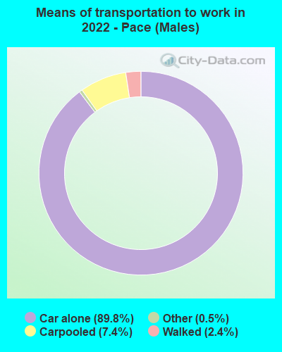 Means of transportation to work in 2022 - Pace (Males)