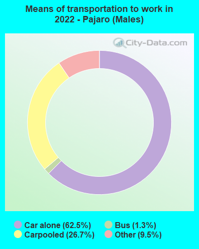 Means of transportation to work in 2022 - Pajaro (Males)