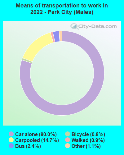 Means of transportation to work in 2022 - Park City (Males)