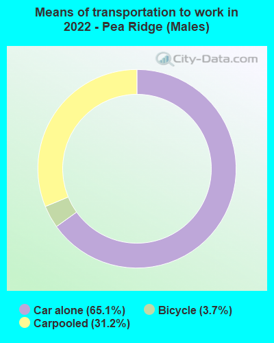 Means of transportation to work in 2022 - Pea Ridge (Males)