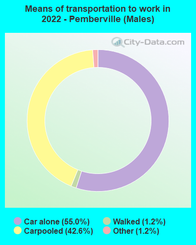 Means of transportation to work in 2022 - Pemberville (Males)