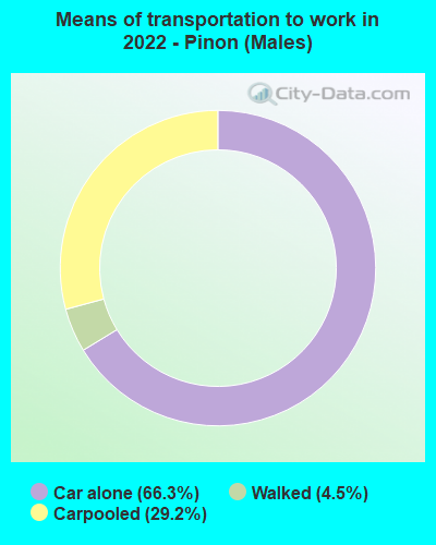 Means of transportation to work in 2022 - Pinon (Males)