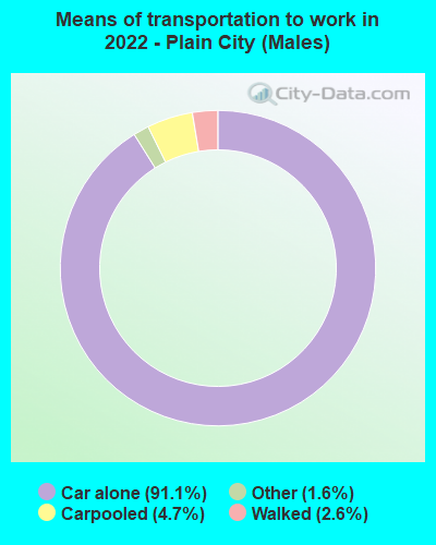 Means of transportation to work in 2022 - Plain City (Males)