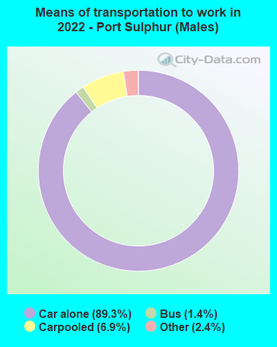 Means of transportation to work in 2022 - Port Sulphur (Males)