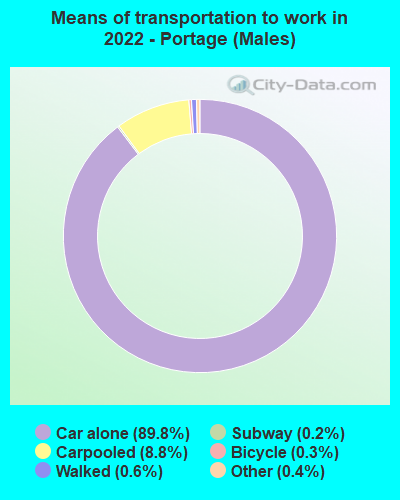 Means of transportation to work in 2022 - Portage (Males)