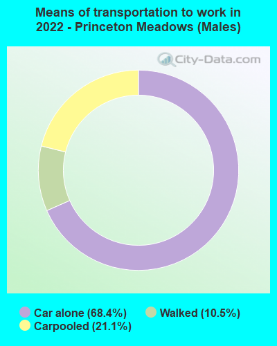 Means of transportation to work in 2022 - Princeton Meadows (Males)