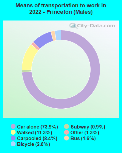 Means of transportation to work in 2022 - Princeton (Males)