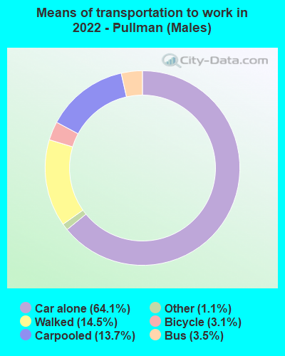 Means of transportation to work in 2022 - Pullman (Males)