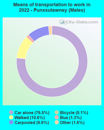 Means of transportation to work in 2022 - Punxsutawney (Males)