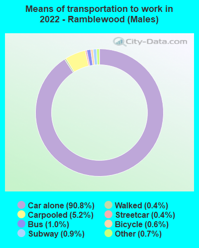 Means of transportation to work in 2022 - Ramblewood (Males)