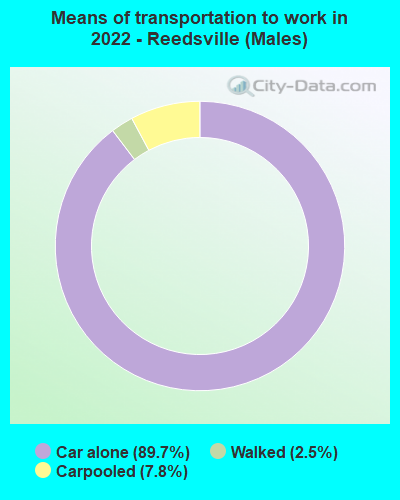 Means of transportation to work in 2022 - Reedsville (Males)