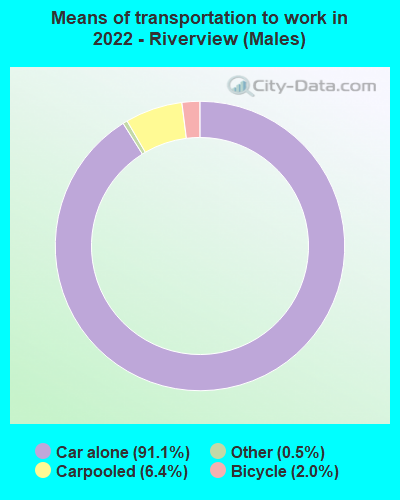 Means of transportation to work in 2022 - Riverview (Males)