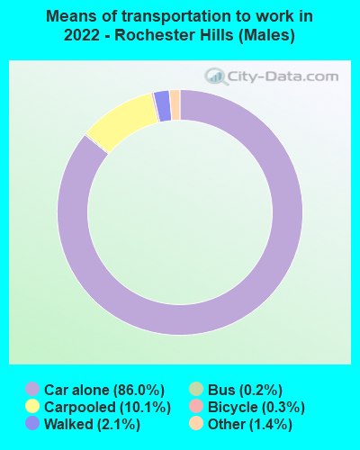 Means of transportation to work in 2022 - Rochester Hills (Males)