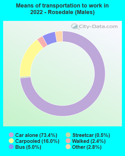 Means of transportation to work in 2022 - Rosedale (Males)