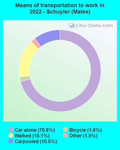 Means of transportation to work in 2022 - Schuyler (Males)