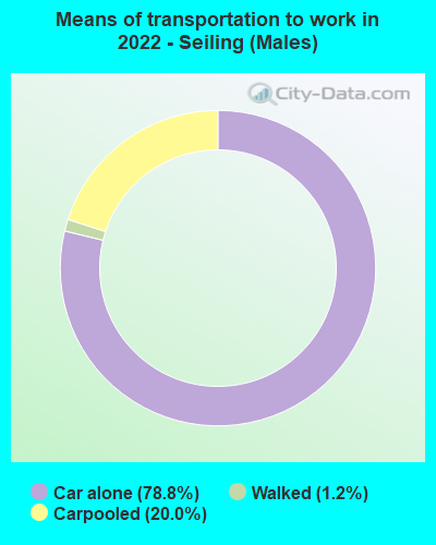 Means of transportation to work in 2022 - Seiling (Males)