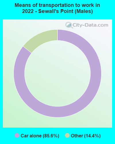 Means of transportation to work in 2022 - Sewall's Point (Males)