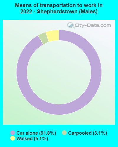 Means of transportation to work in 2022 - Shepherdstown (Males)