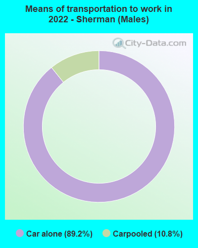 Means of transportation to work in 2022 - Sherman (Males)