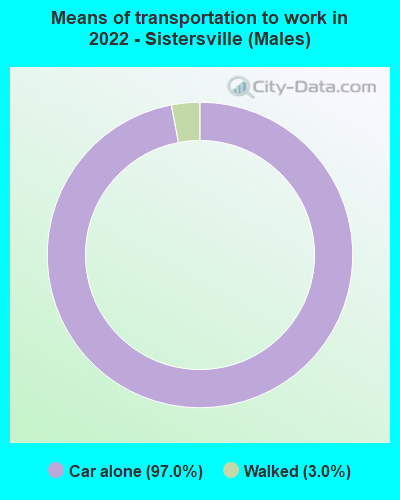 Means of transportation to work in 2022 - Sistersville (Males)