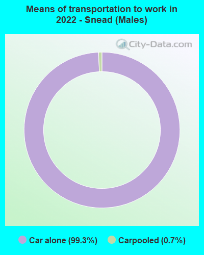 Means of transportation to work in 2022 - Snead (Males)