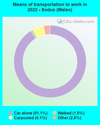 Means of transportation to work in 2022 - Sodus (Males)