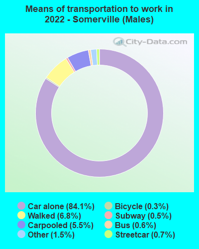 Means of transportation to work in 2022 - Somerville (Males)