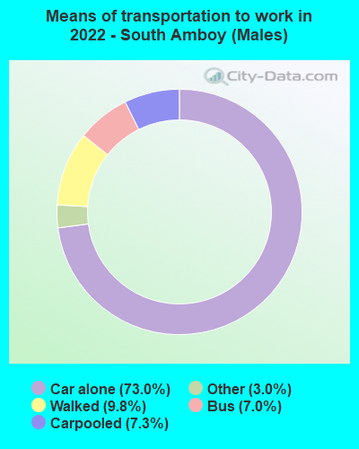 Means of transportation to work in 2022 - South Amboy (Males)