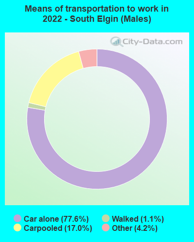 Means of transportation to work in 2022 - South Elgin (Males)