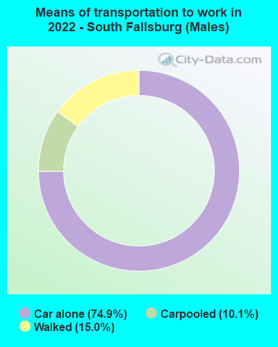 Means of transportation to work in 2022 - South Fallsburg (Males)