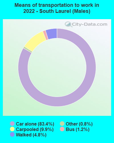 Means of transportation to work in 2022 - South Laurel (Males)